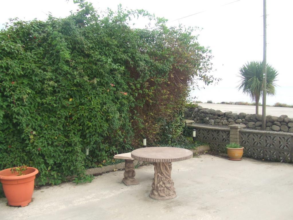 Halfway House Hotel Larne Exterior foto